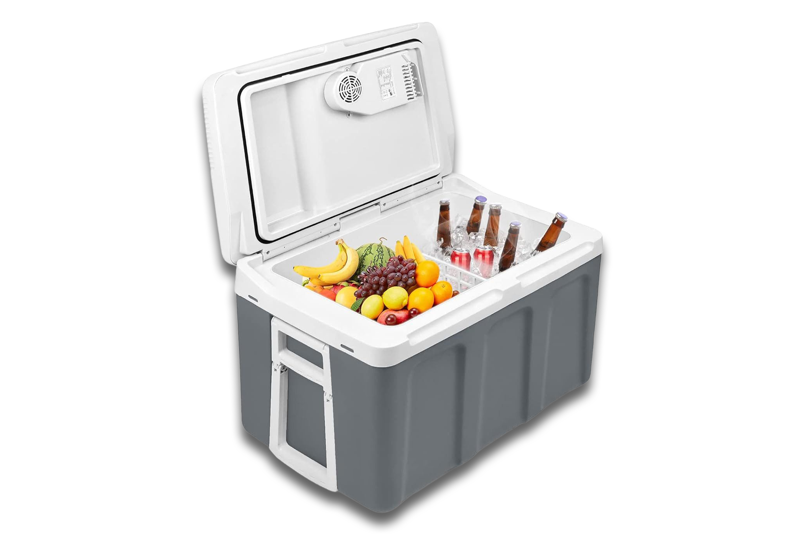 Bild der Fivmen Kühlbox.